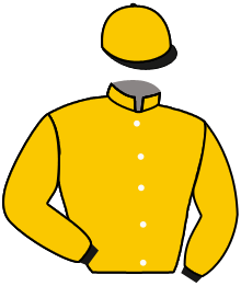 casaque