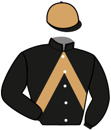 casaque